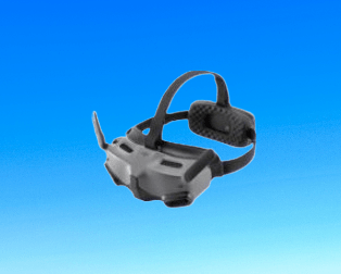 FPV Goggles