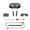DJI Goggles 2 51 degree field of view