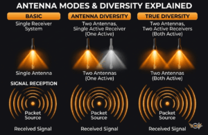 Antenna diversity comparison when learning how to choose ExpressLRS receiver for FPV drones